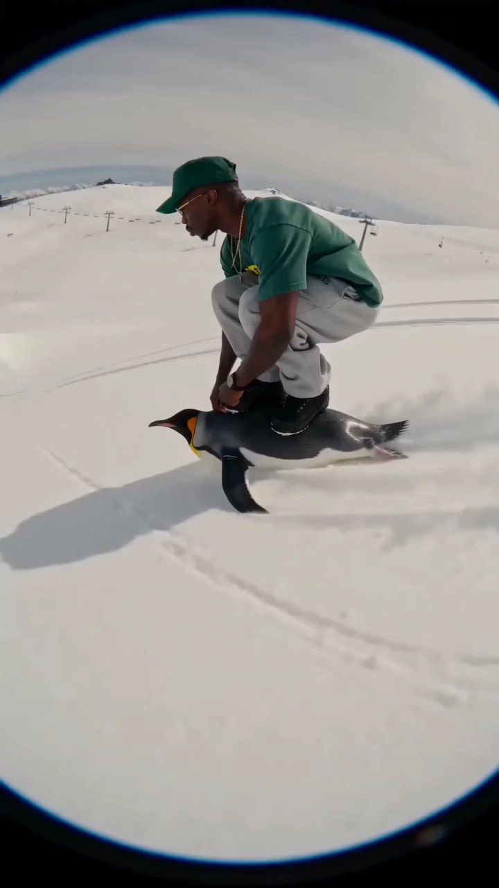 Animal Ride