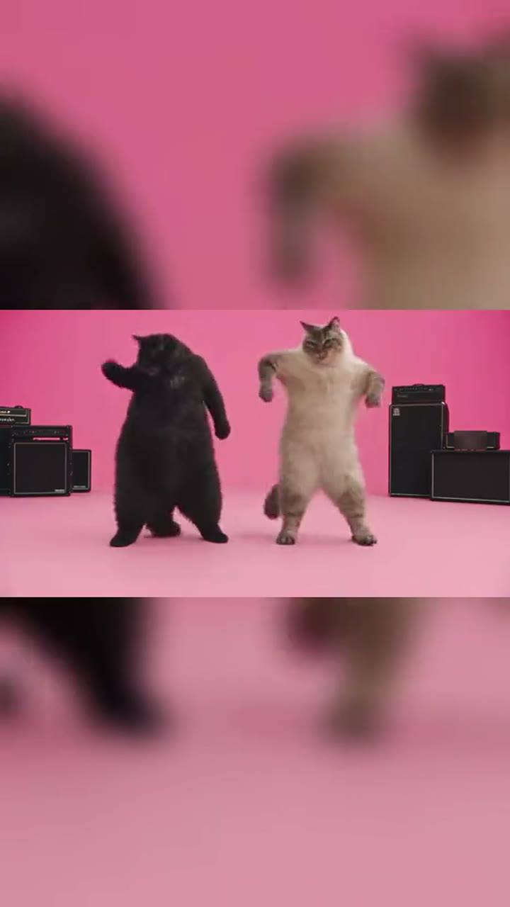 APT Dance