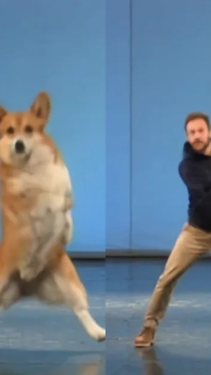 Dodge Step Dance