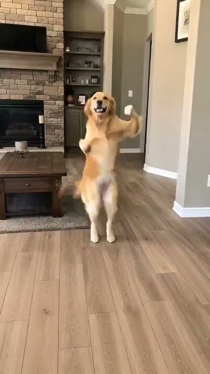 Hip Hop Dance