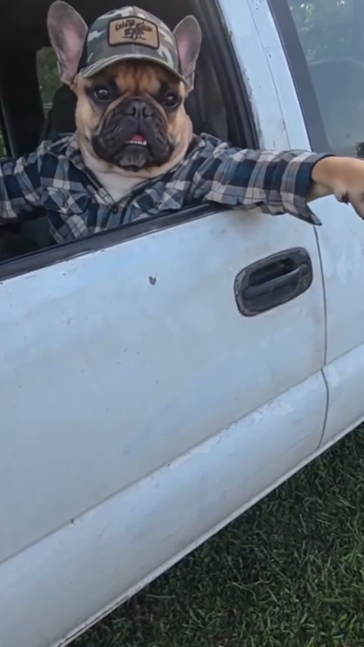 Hit the Road Dude
