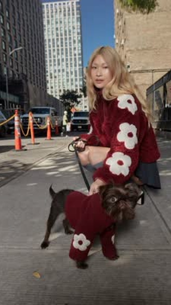 Pet Owner Twinning