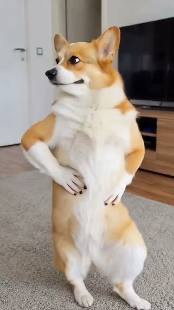 Salsa Dance