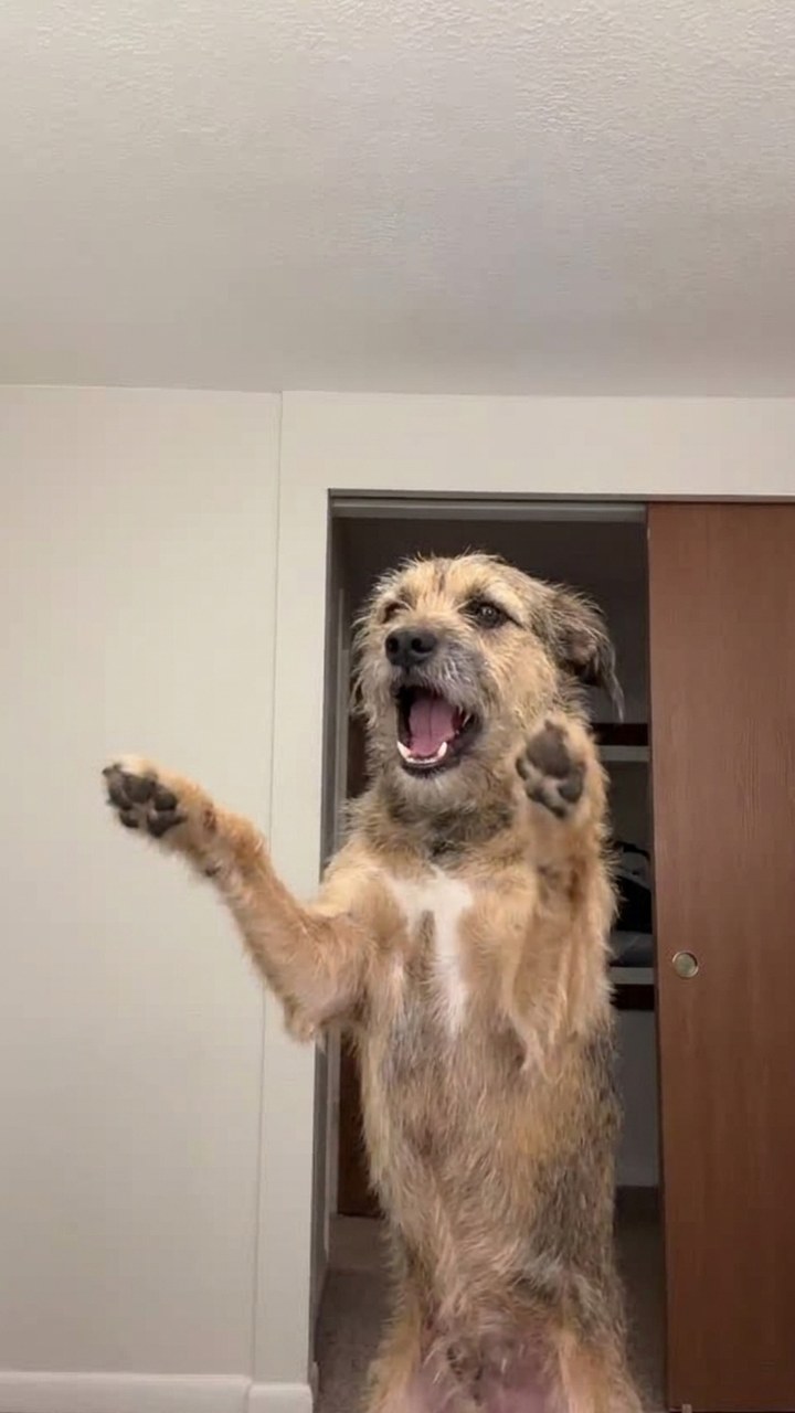 If You Grab Me, Imma Bite You