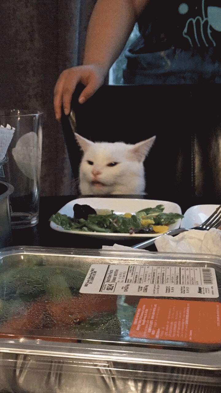 Woman Yelling at Cat Meme